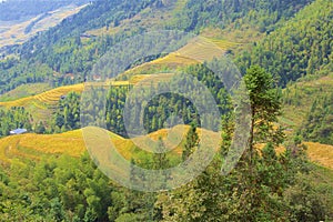 Longji rice terraces in Guangxi province, China