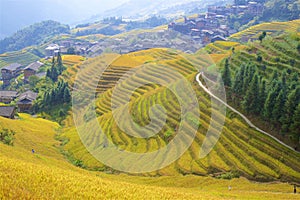 Longji rice terraces in Guangxi province, China