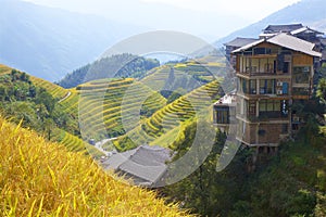 Longji rice terraces in Guangxi province, China