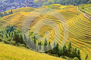 Longji rice terraces in Guangxi province, China