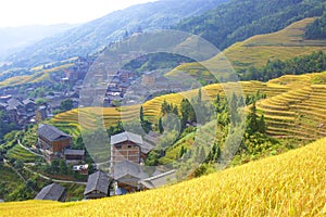 Longji rice terraces in Guangxi province, China