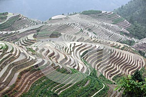 Longji rice terraces, Guangxi province, China