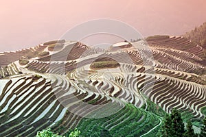 Longji rice terraces, Guangxi province, China