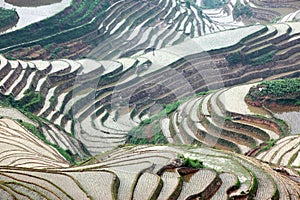 Longji rice terraces, Guangxi province, China