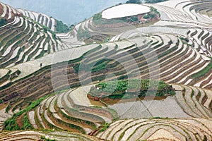 Longji rice terraces, Guangxi province, China photo