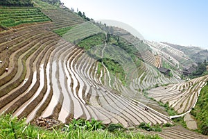Longji rice terraces UNESCO site, China photo