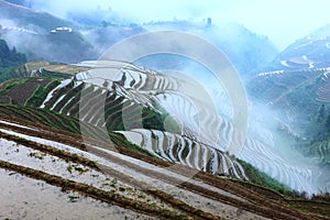 Longji terrace with fog ,Guilin