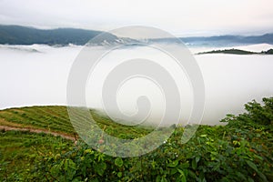 Longji terrace with fog ,Guilin