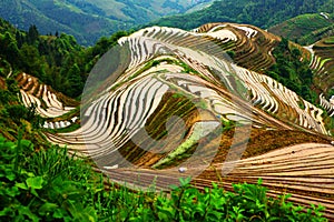 Longji terrace ,Guilin