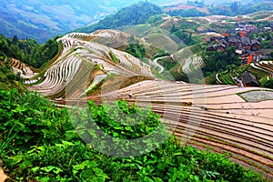 Longji terrace ,Guilin