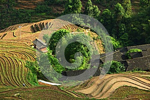 Longji terrace ,Guilin