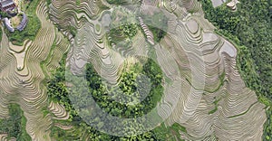 Longji terrace rice field,Aerial photography