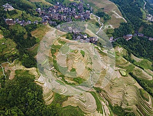 Longji terrace rice field,Aerial photography