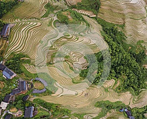 Longji terrace rice field,Aerial photography