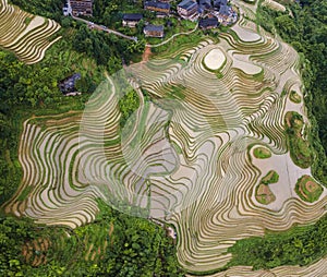 Longji terrace rice field,Aerial photography