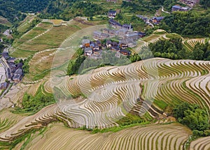 Longji terrace rice field,Aerial photography