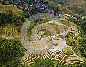 Longji terrace rice field,Aerial photography