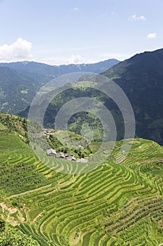 Longji Terraced Rice Fields