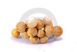 The Longkong in Thailand