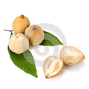 Longkong ,Langsat or Lanzones fruit is endemic to Southeast Asia