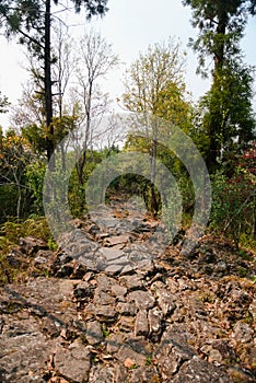   piedra puente en municipio 