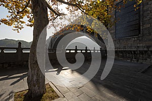 Longmen Bridge and autumn maple tree in the early morning, Yi River, Luoyang, Henan, China