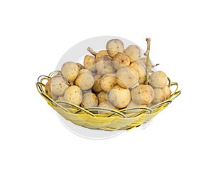 Longong isolated on white background