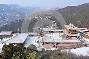 Longquan Temple photo