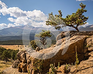 Longs Peak, Trail Ridge Road, Rocky Mountain National Park, CO photo