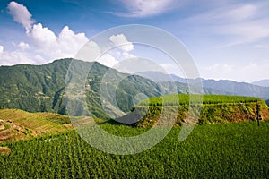 Longshen rice terraces landscape China