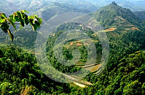 Longsheng, China: Mountainside Rice Paddies photo