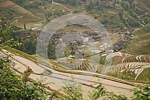 Longsheng paddy fields in China