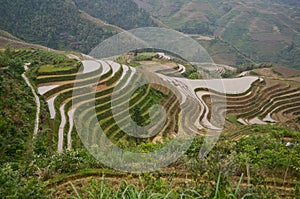 Longsheng paddy fields in China