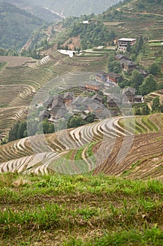 Longsheng paddy fields in China