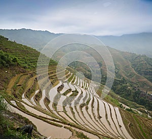 Longsheng paddy fields in China photo