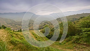 Longsheng paddy fields in China