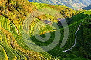 Longsheng Ping An Rice Terraces, China