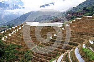 Longsheng Rice Terraces; China