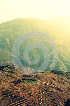 Longsheng Rice Terraces, China