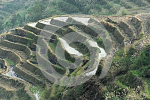Longsheng rice terraces, China photo
