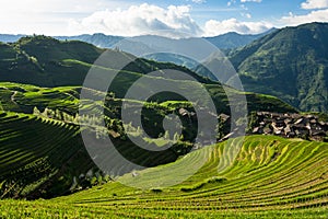 Longsheng rice terraces guilin china landscape