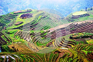 Wide angle view over the Longsheng Rice Terraces. China