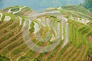 The Longsheng Rice Terraces in Longsheng County about 100 km from Guilin, China.