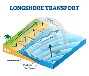 Longshore drift transport vector illustration. Labeled educational scheme.
