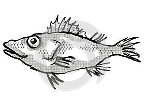 Longsnout No-line Scorpionfish Australian Fish Cartoon Retro Drawing