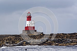 Longstone Lighthouse and seals