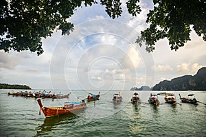 Longtail boats anchored at Maya Bay on Phi Phi Leh Island, Krabi Province, Thailand. It is part of Mu Ko Phi Phi