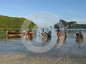 Longtail in Phi Phi