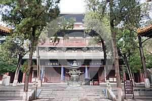 Longxing Temple. a famous historic site in Zhengding, Hebei, China.