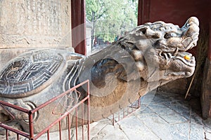 Longxing Temple. a famous historic site in Zhengding, Hebei, China.